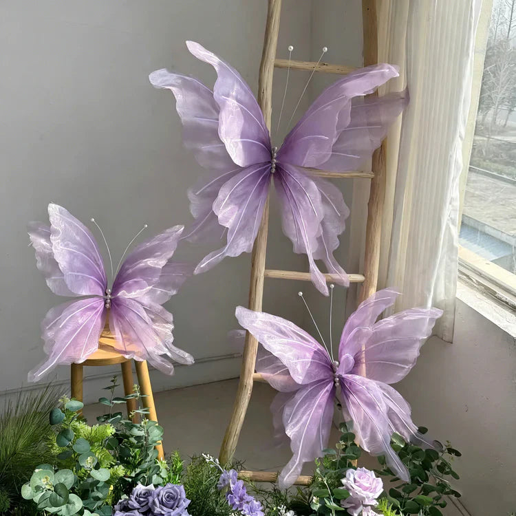 Butterfly Grace