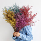 Flowerva  Preserved Limonium (Sea Lavender) Dried Flower Bouquet