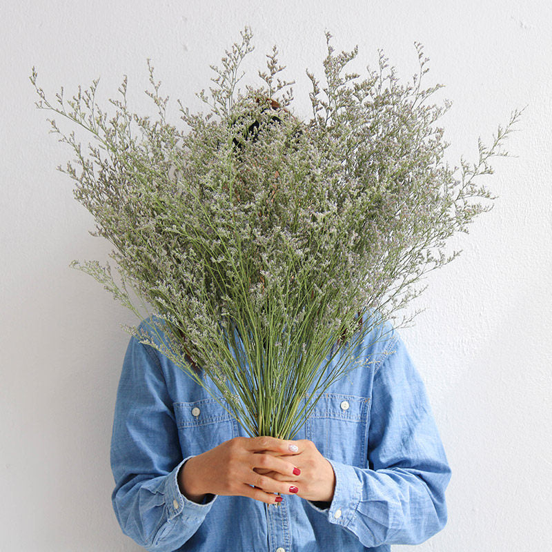 Flowerva  Preserved Limonium (Sea Lavender) Dried Flower Bouquet