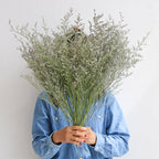Flowerva  Preserved Limonium (Sea Lavender) Dried Flower Bouquet