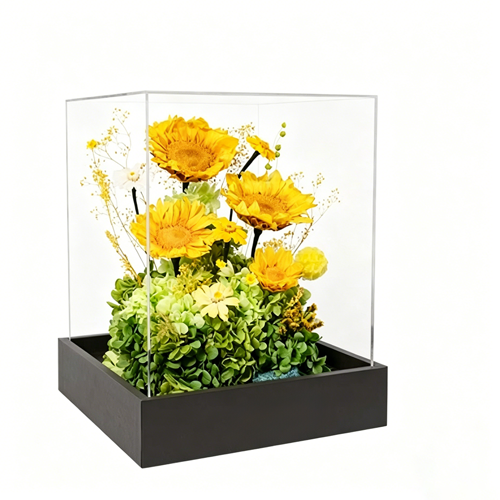 Flowerva Sunflower Preserved Bloom Acrylic Box Premium Decor