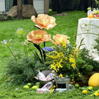 Flowerva Quiet Presence Champagne Glow Premium Flower