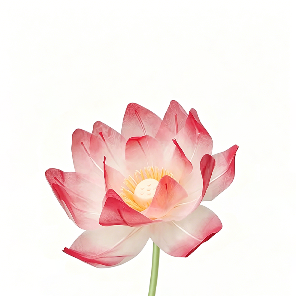 Flowerva Lotus Petal Etherea Premium Decor