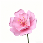 Flowerva Pink Blossom Contour Premium Decor