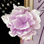 Flowerva Crinkle Layered Formwork Premium Decor