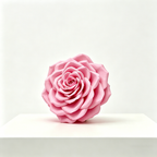 Flowerva Rose Contour Formwork Premium Decor