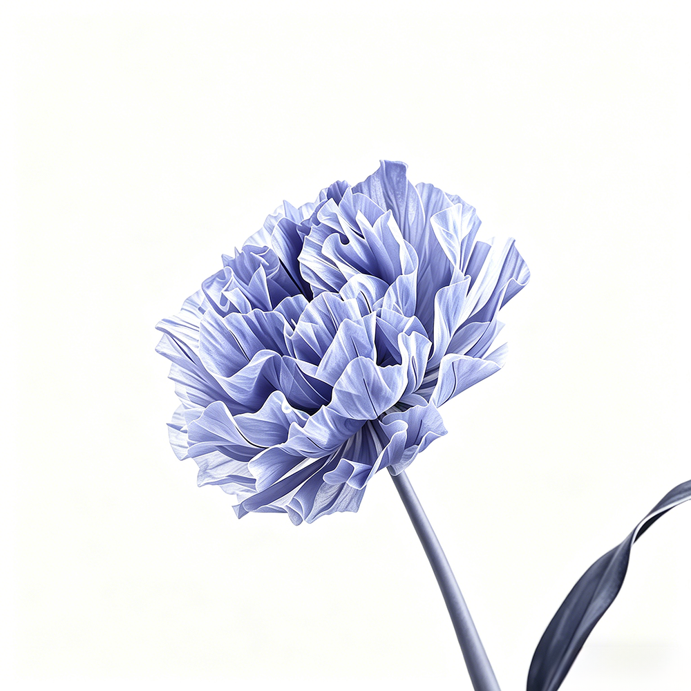 Flowerva Violet Haze Premium Flower