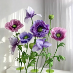 Flowerva Ombre Petal Cadence Premium Decor