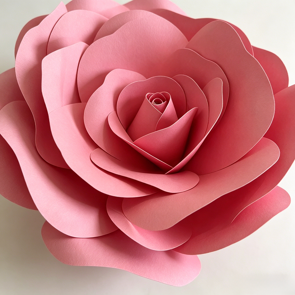 Flowerva Timeless Rose Premium Flower