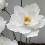Flowerva Crinkle Petal Whisper Premium Decor