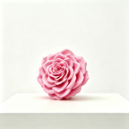 Flowerva Rose Contour Formwork Premium Decor