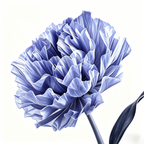 Flowerva Violet Haze Premium Flower