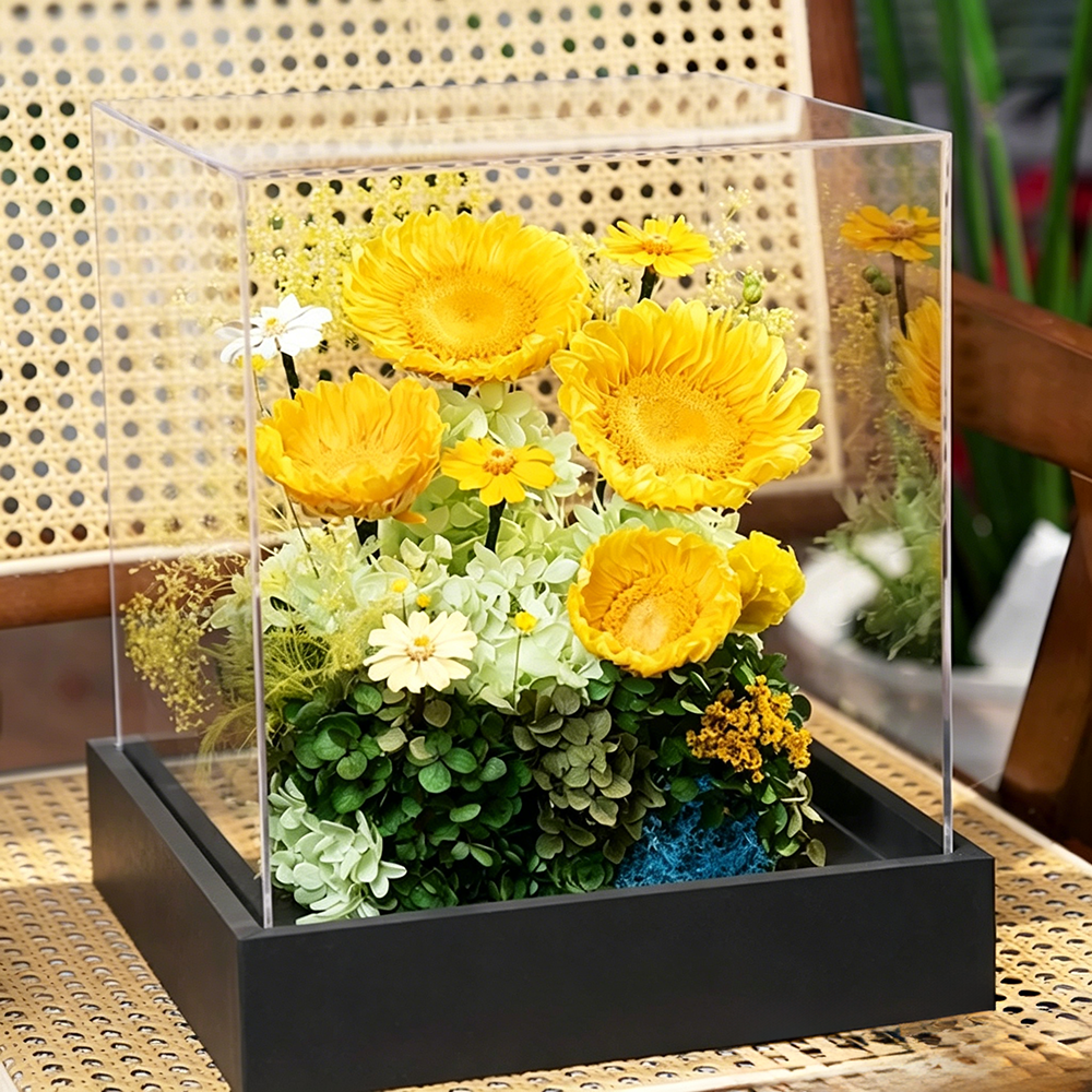 Flowerva Sunflower Preserved Bloom Acrylic Box Premium Decor