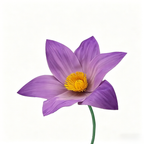 Flowerva Violet Lily Contour Premium Decor