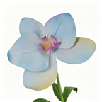 Flowerva Pastel Gradient Cadence Premium Decor
