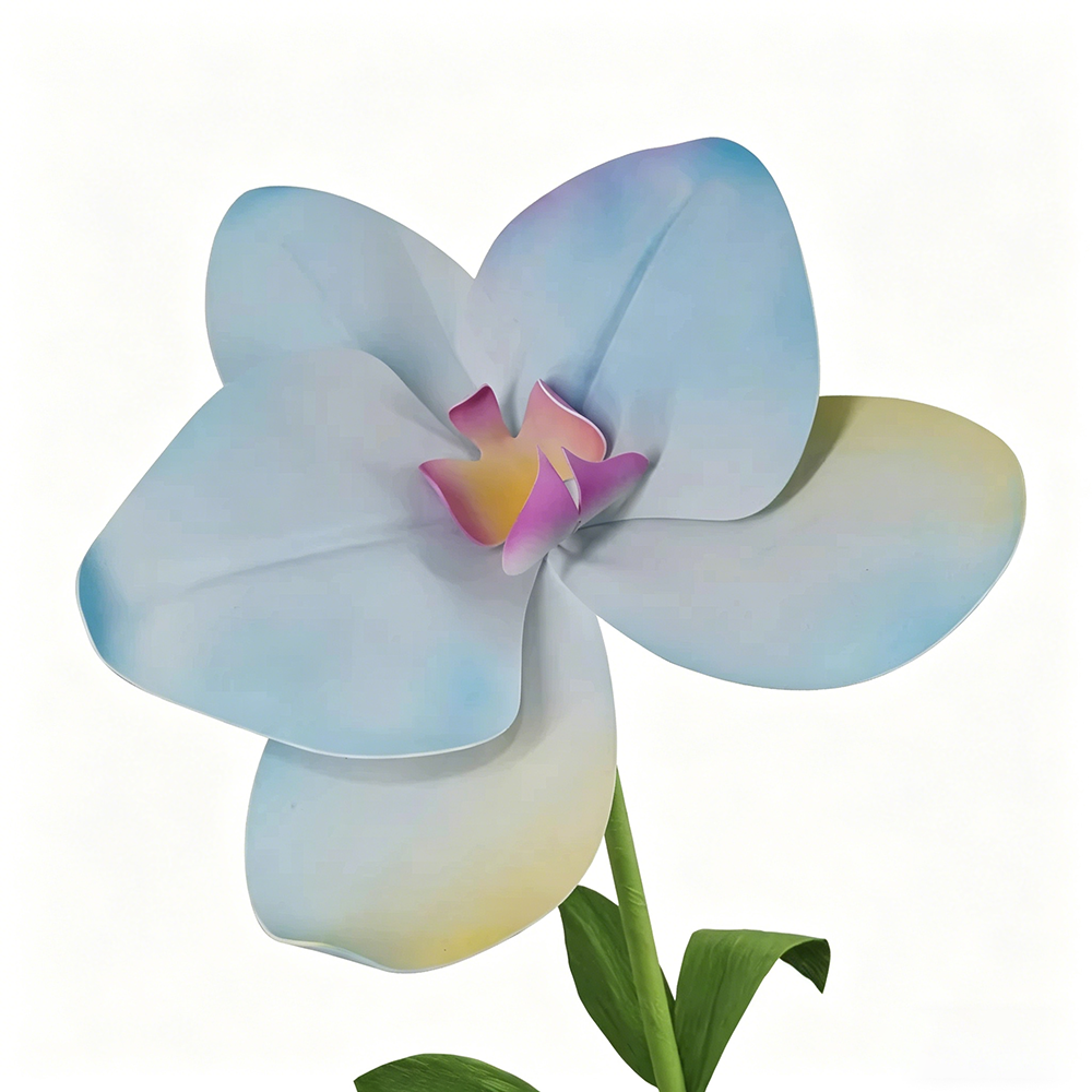 Flowerva Pastel Gradient Cadence Premium Decor