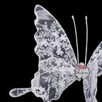 Flowerva Velvet Wing Lace Art Accent