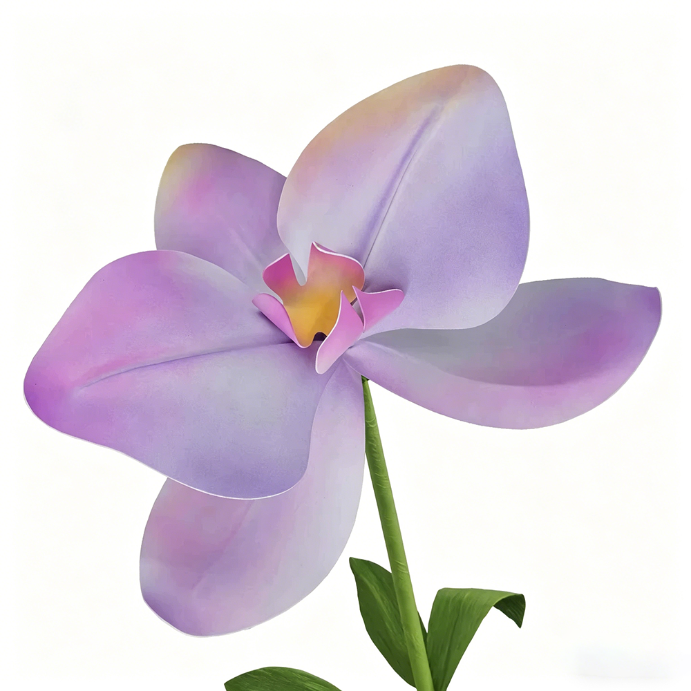 Flowerva Pastel Gradient Cadence Premium Decor