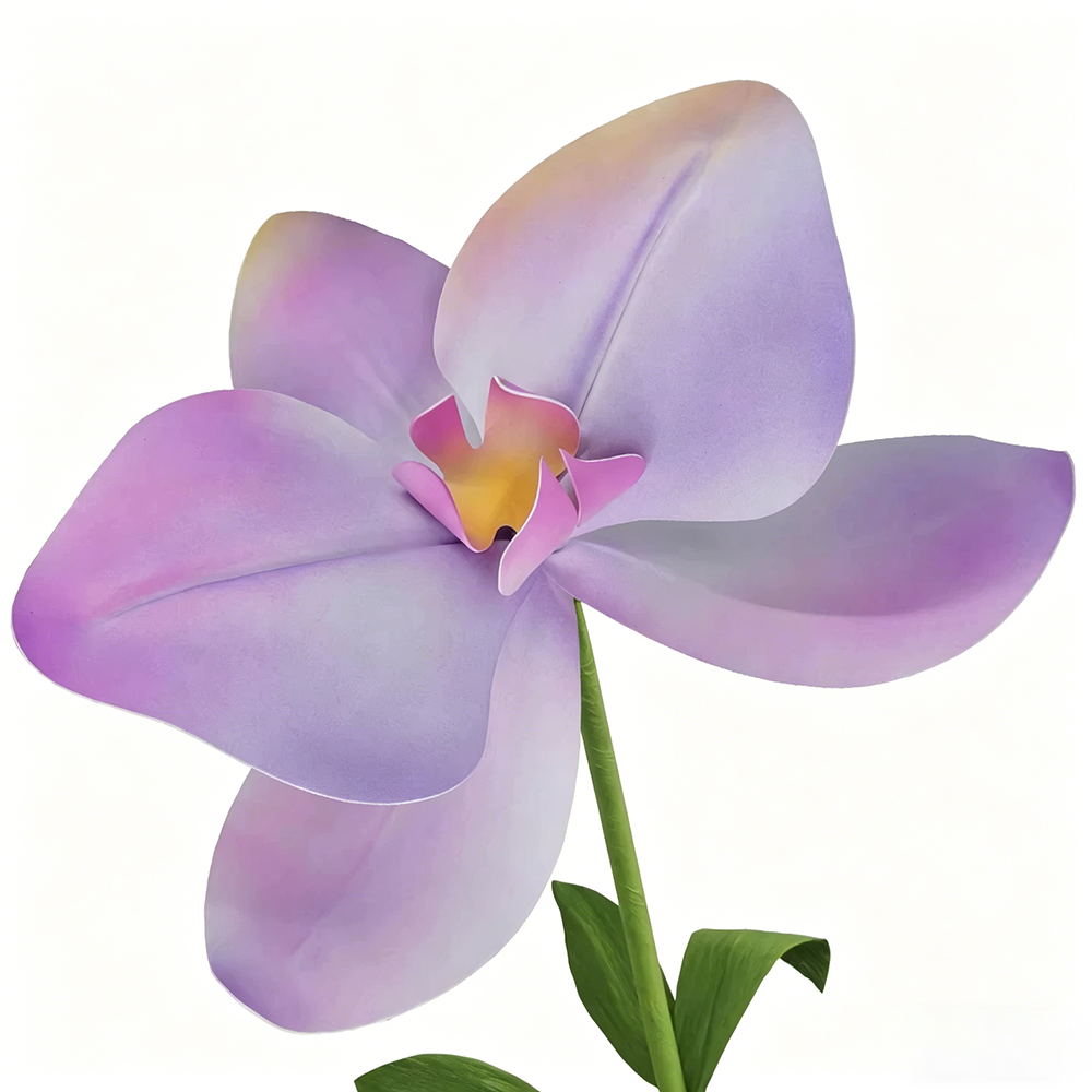 Flowerva Pastel Gradient Cadence Premium Decor