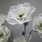 Flowerva Sheer Poppy Whisper Premium Decor
