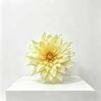 Flowerva Cream Dahlia Bloom Premium Decor