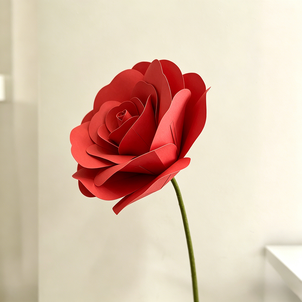 Flowerva Timeless Rose Premium Flower