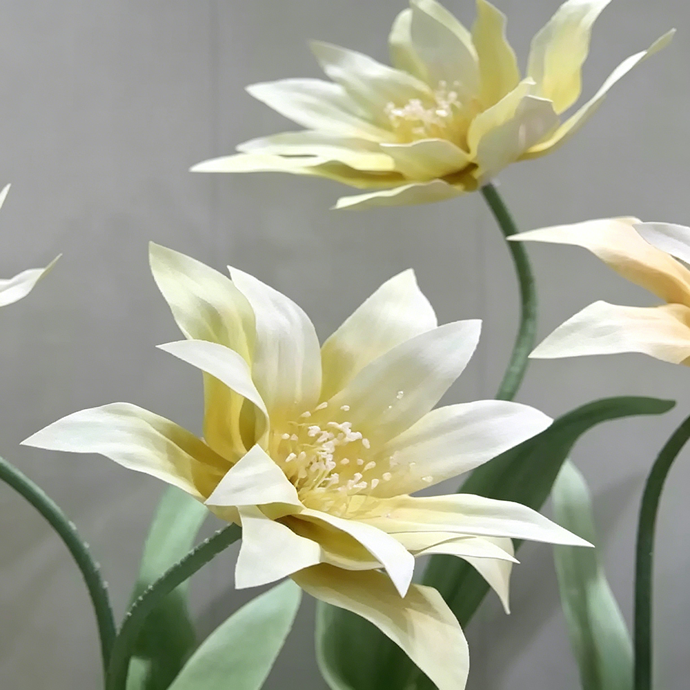 Flowerva Cream Star Bloom Premium Decor