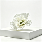 Flowerva Sheer Poppy Whisper Premium Decor