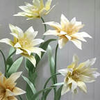 Flowerva Cream Star Bloom Premium Decor