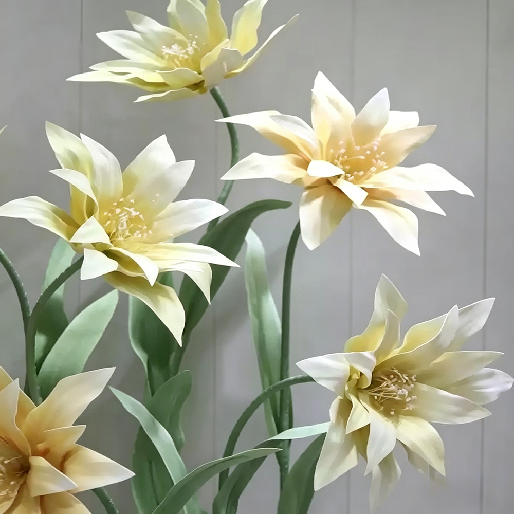 Flowerva Cream Star Bloom Premium Decor