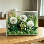 Flowerva Sunlit Botanical Acrylic Display Premium Decor