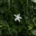 Flowerva Lacework Floral Silhouette Premium Decor