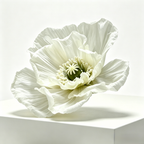 Flowerva Sheer Poppy Whisper Premium Decor