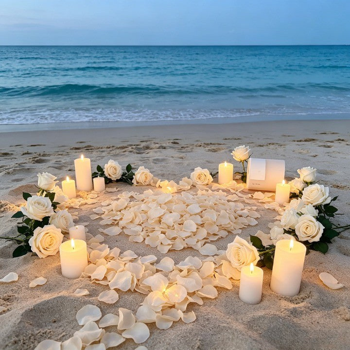 Flowerva  Proposal Scene Decor & Wedding Confetti —Champagne