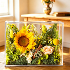 Flowerva Sunlit Botanical Acrylic Display Premium Decor