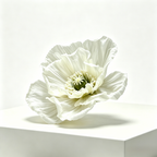 Flowerva Sheer Poppy Whisper Premium Decor