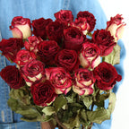 Flowerva Dried Rose Bouquet | Multi-Color Preserved Real Roses