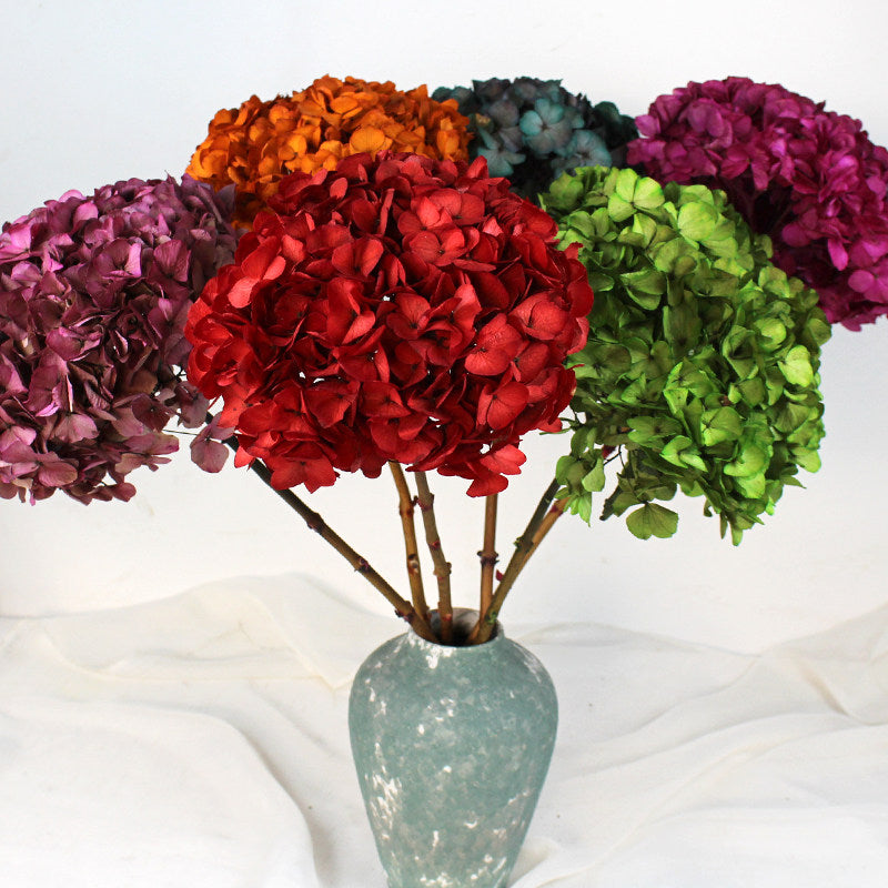 Flowerva Luxurious Large-Leaf Preserved Flower Branch | Eternal Bloom