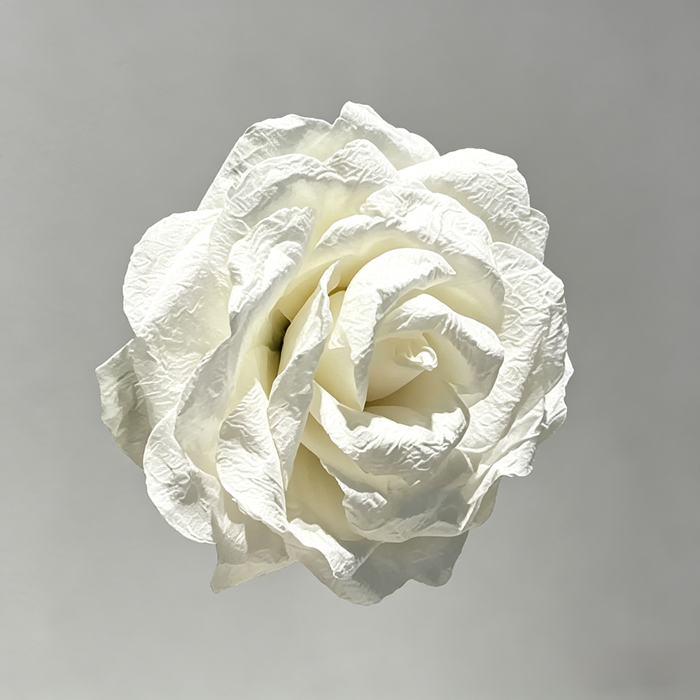 Flowerva White Rose Chroma Cluster Premium Decor