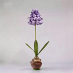 Flowerva Muscari Palette Artisan Premium Decor