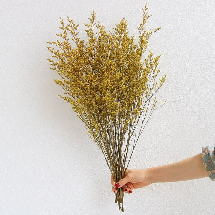 Flowerva  Preserved Limonium (Sea Lavender) Dried Flower Bouquet