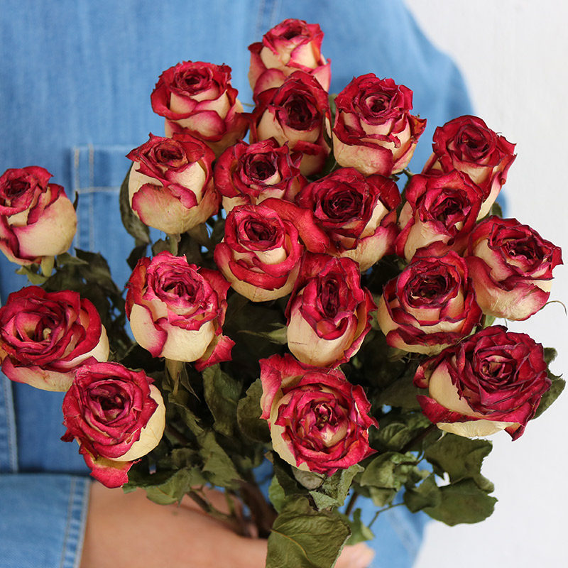 Flowerva Dried Rose Bouquet | Multi-Color Preserved Real Roses