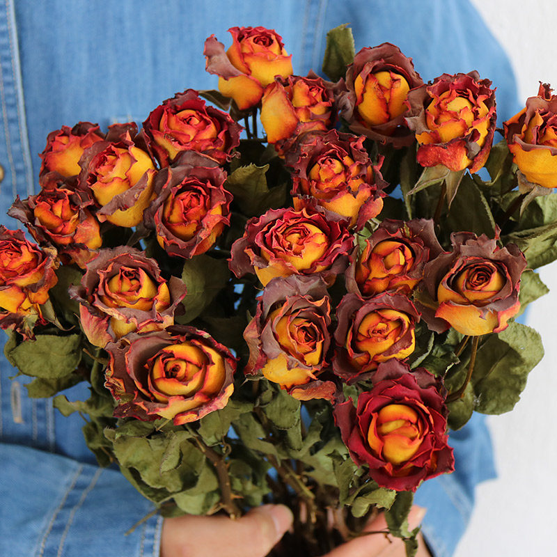 Flowerva Dried Rose Bouquet | Multi-Color Preserved Real Roses