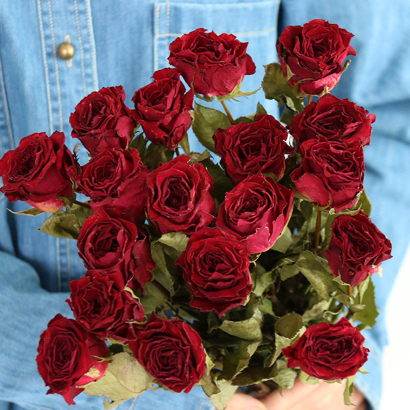 Flowerva Dried Rose Bouquet | Multi-Color Preserved Real Roses