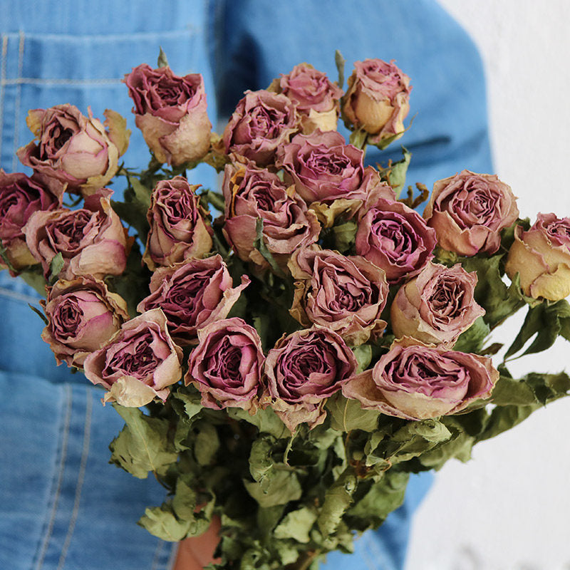 Flowerva Dried Rose Bouquet | Multi-Color Preserved Real Roses