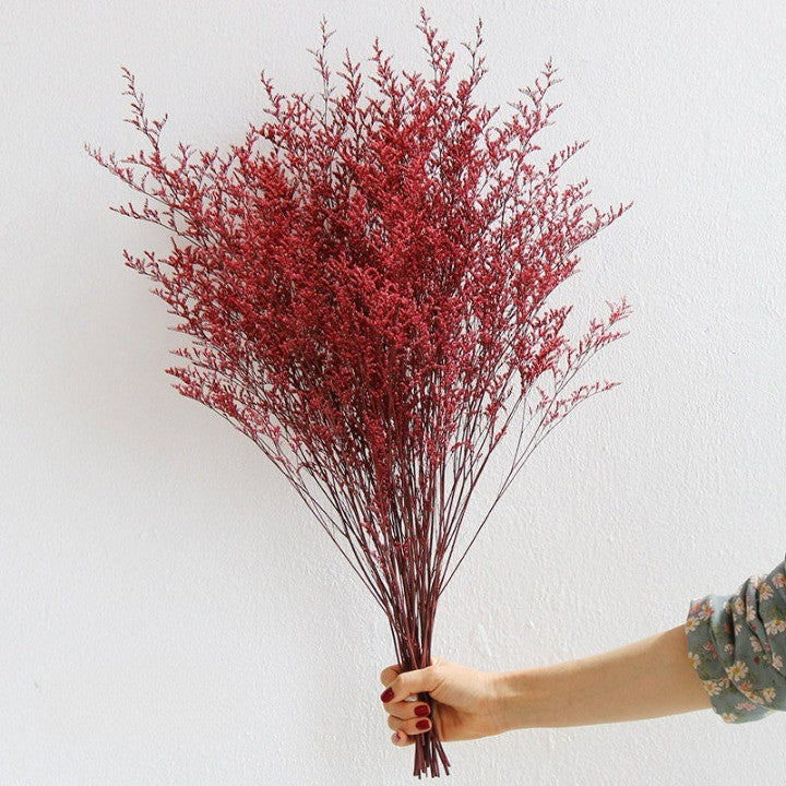 Flowerva  Preserved Limonium (Sea Lavender) Dried Flower Bouquet