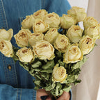 Flowerva Dried Rose Bouquet | Multi-Color Preserved Real Roses