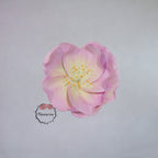 Flowerva EVA Gradient Pink Peony Premium Flower