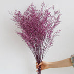 Flowerva  Preserved Limonium (Sea Lavender) Dried Flower Bouquet