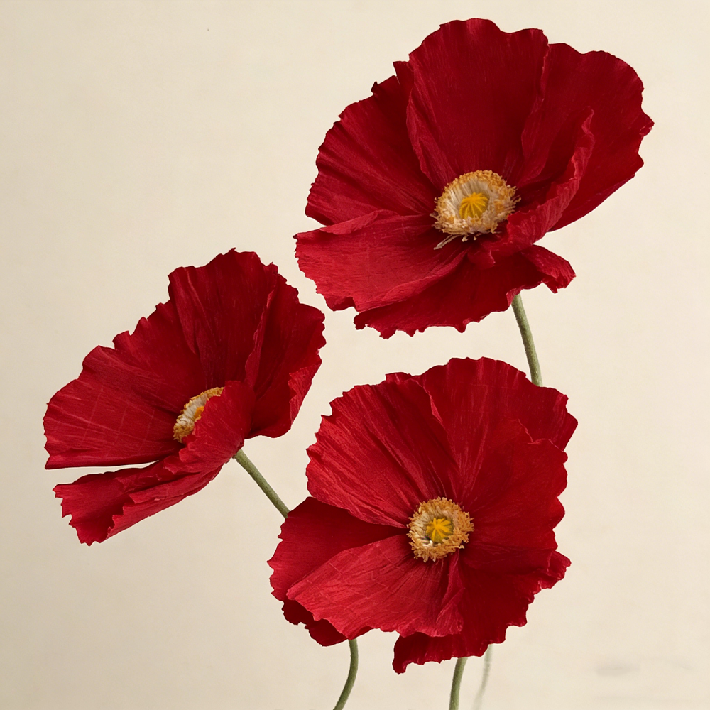 Flowerva Ethereal Crepe Paper Poppy Art Installation